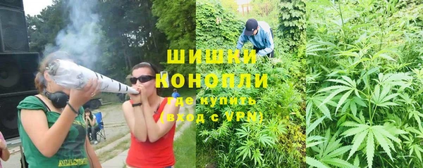 соль ск Арсеньев