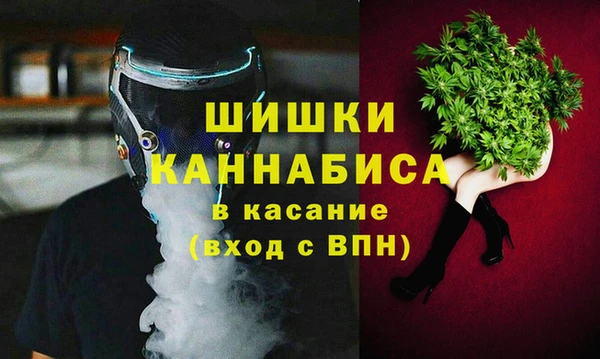 молекула духа Алексин