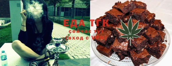 СК Елизово